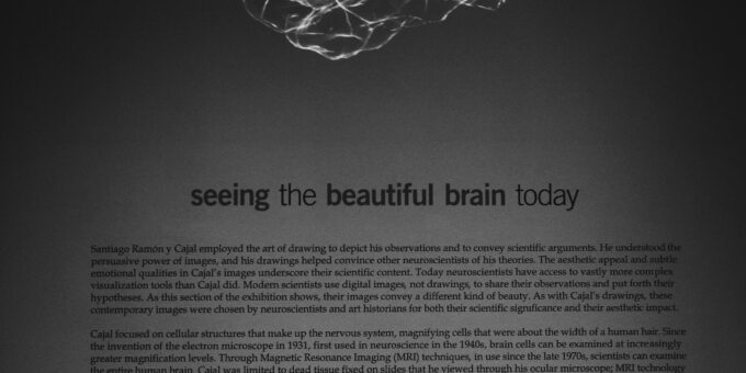 Understanding Color Perception: My Blue is Your Blue