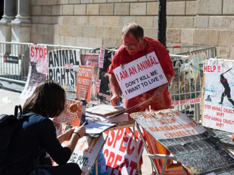 Embracing Compassion: Why You Don't Have to Go Vegan to Love Animals