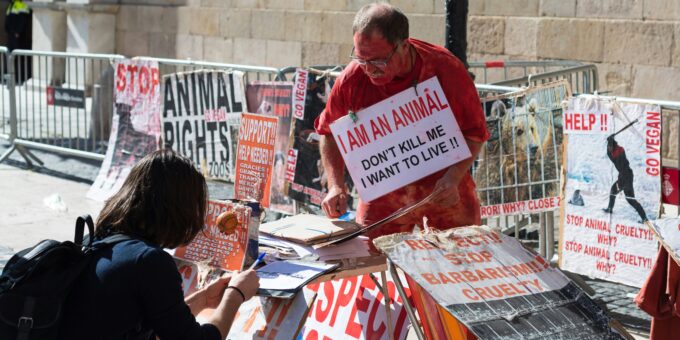 Embracing Compassion: Why You Don't Have to Go Vegan to Love Animals