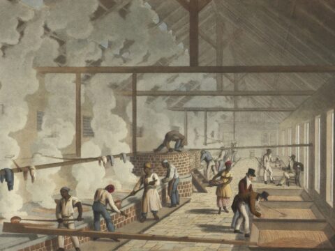 Sweet Trends: How a Warming World is Driving Americans to Consume More Sugar