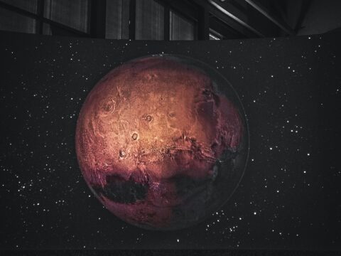 NASA Perseverance Rover Spies a 'Turtle' on Mars: Space Photo of the Day for Sept. 5, 2025