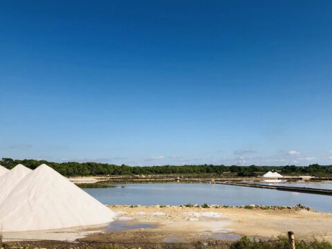 The $40,000 Salt Goldmine: A Hidden Treasure Only the Wealthy Can Access