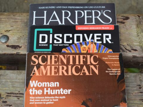 Math Says Life Shouldn't Exist: A New Study Challenges Origins Theories