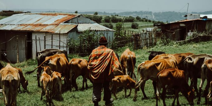 US Job Cuts Soared in August: Insights from Outplacement Firms