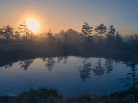 Understand Inflation