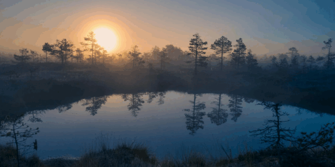 Understand Inflation